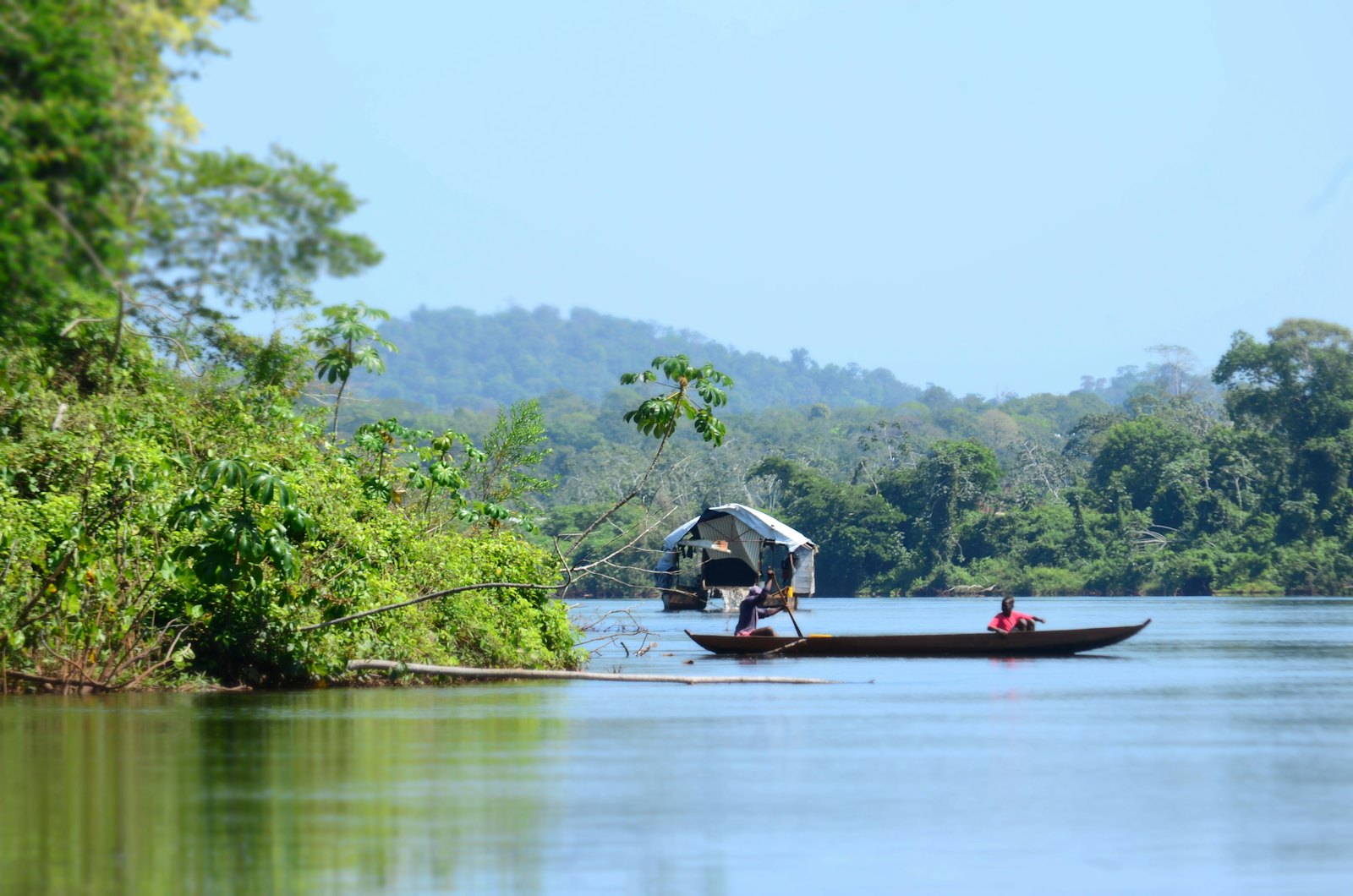 Een korjaal op een brede rivier tussen het groene regenwoud in Boven-Suriname